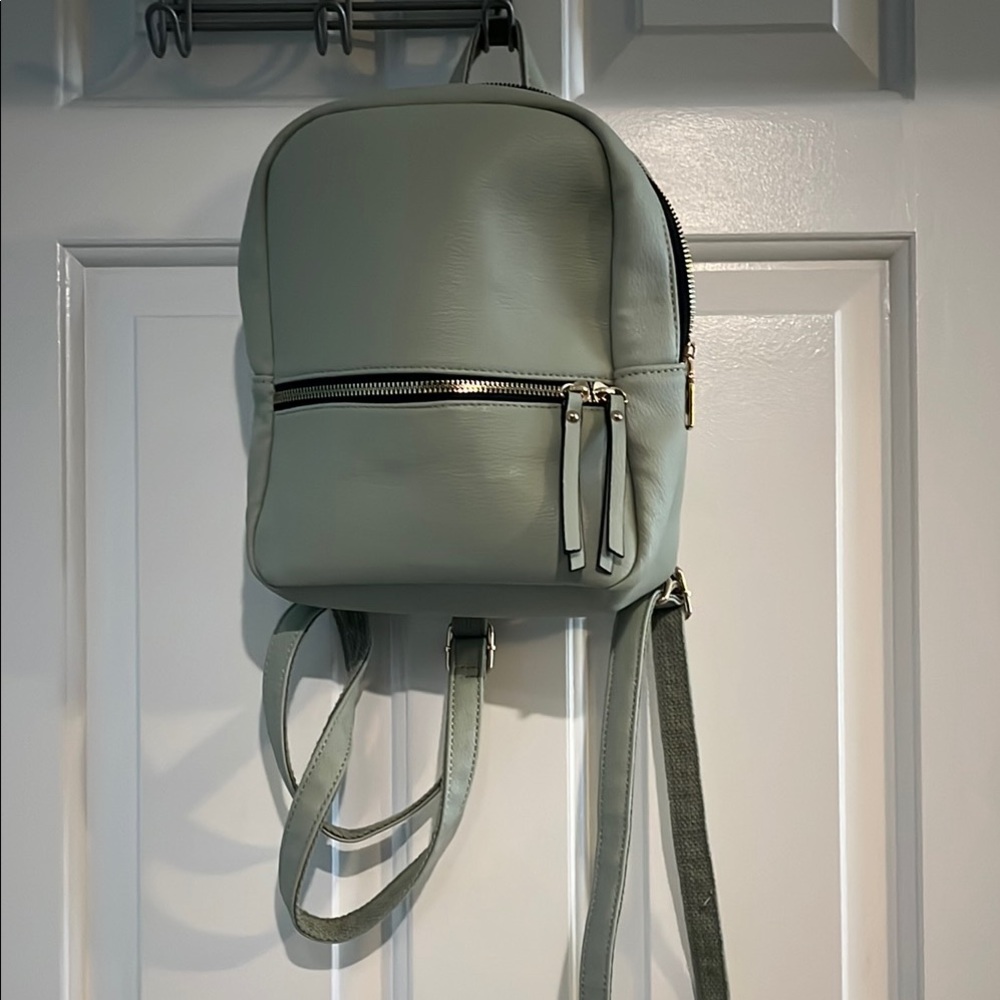 Light Green Backpack